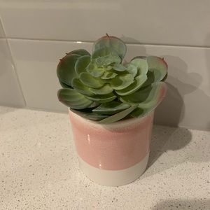 Faux Succulent / Plant in Pink & White Pot